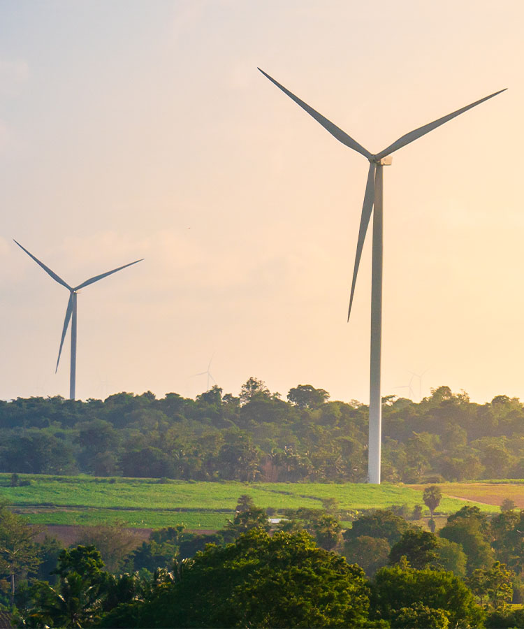 Windräder auf offenem Feld bei Sonnenschein